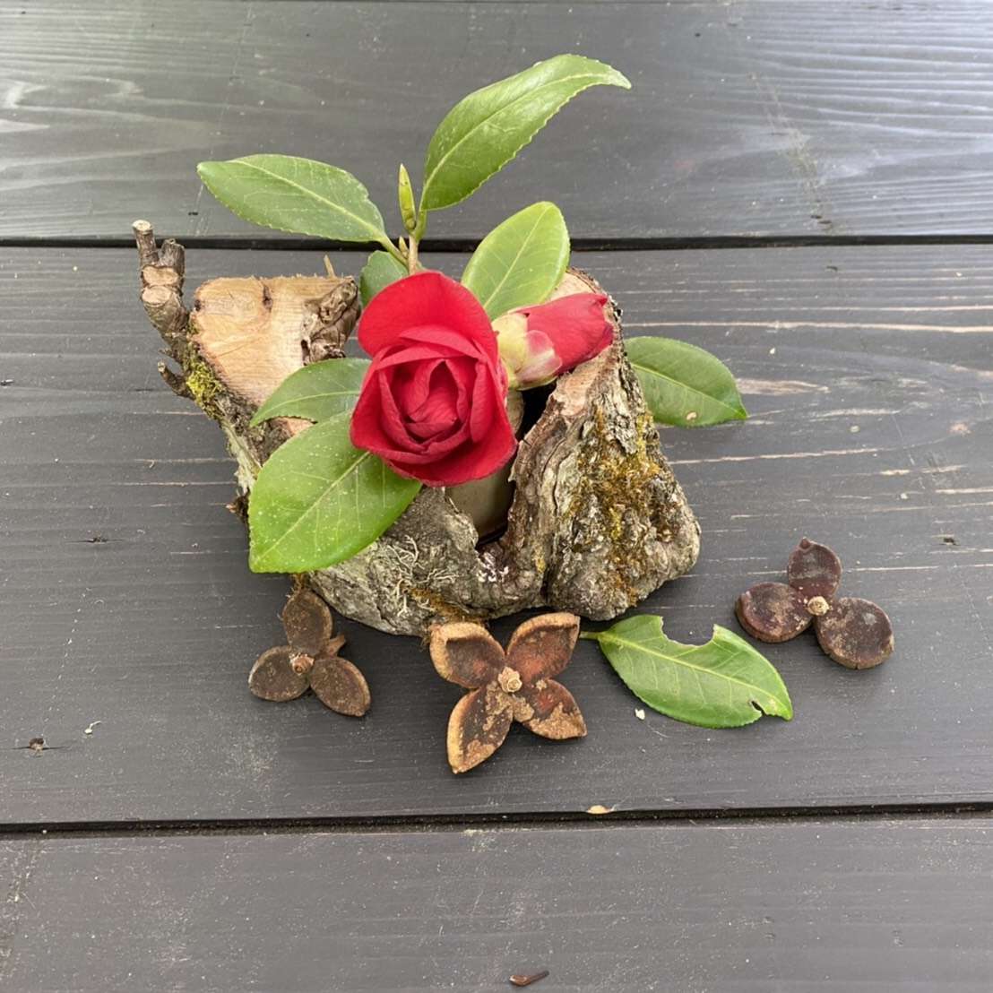 自然の美しさ 里山のおはなし 叶 匠壽庵