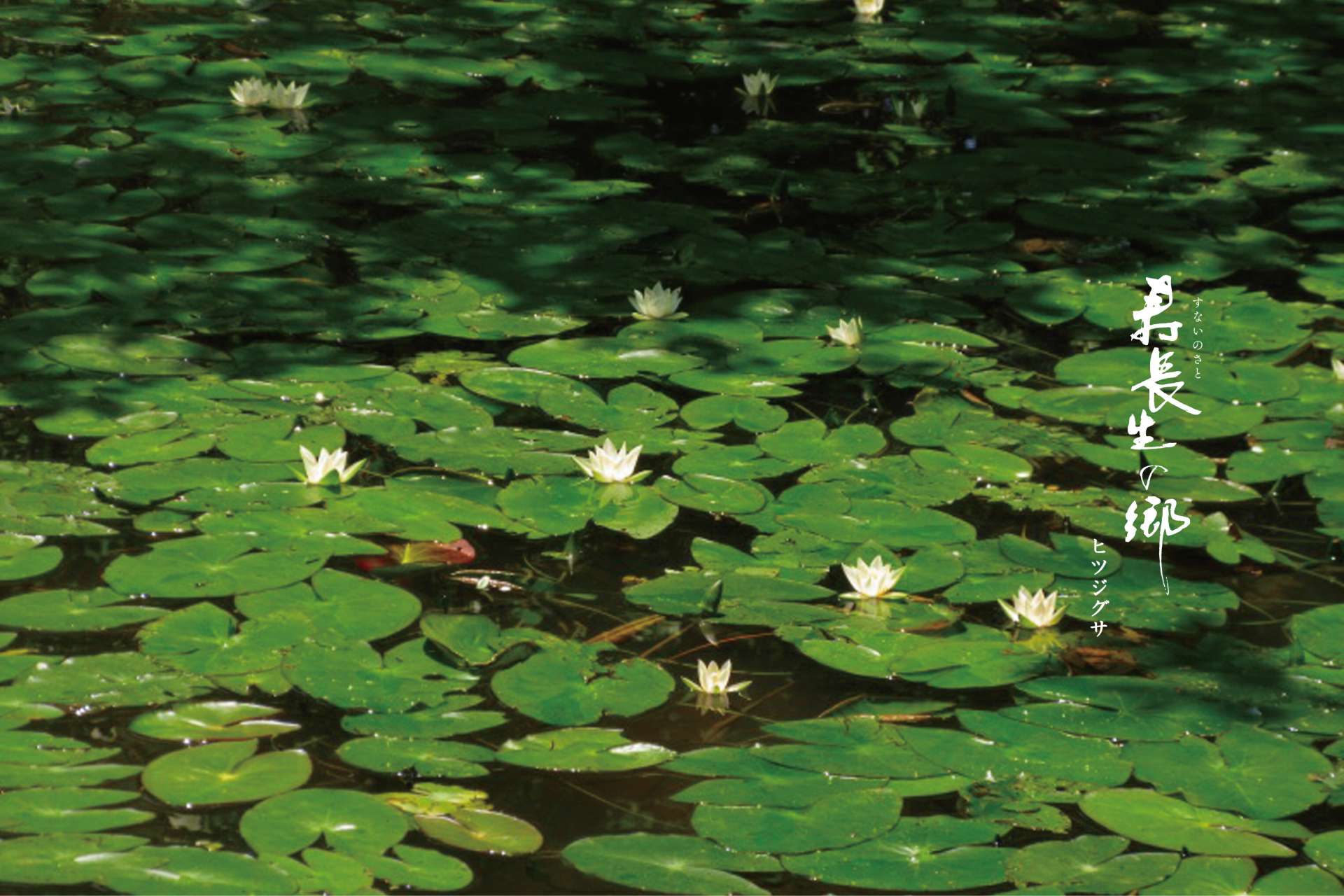 株式会社叶匠寿庵