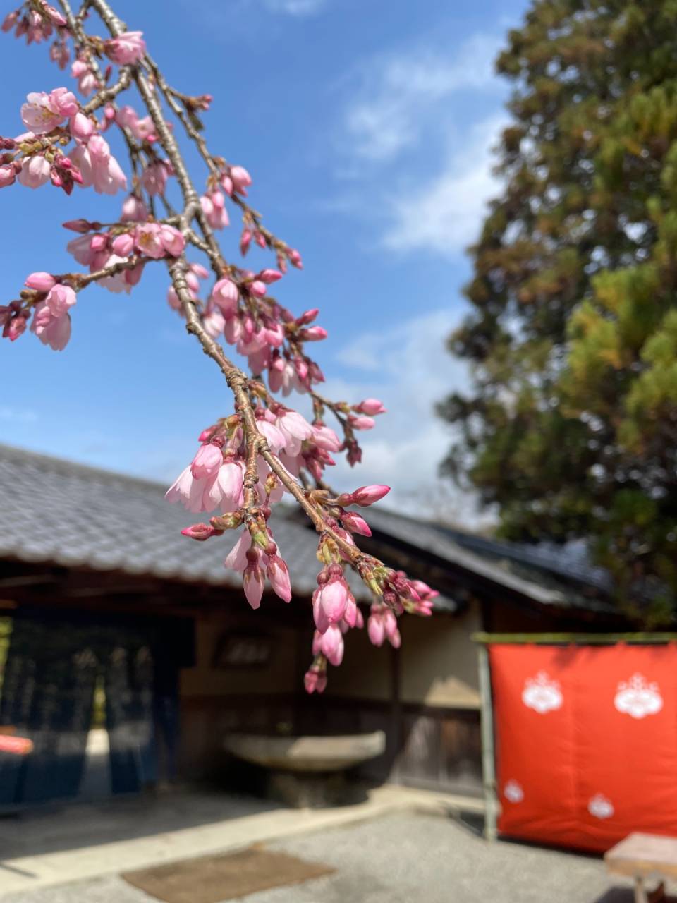 味匠―伝承1000年の料理 (伝統の趣・創造の妙) |本 | 通販