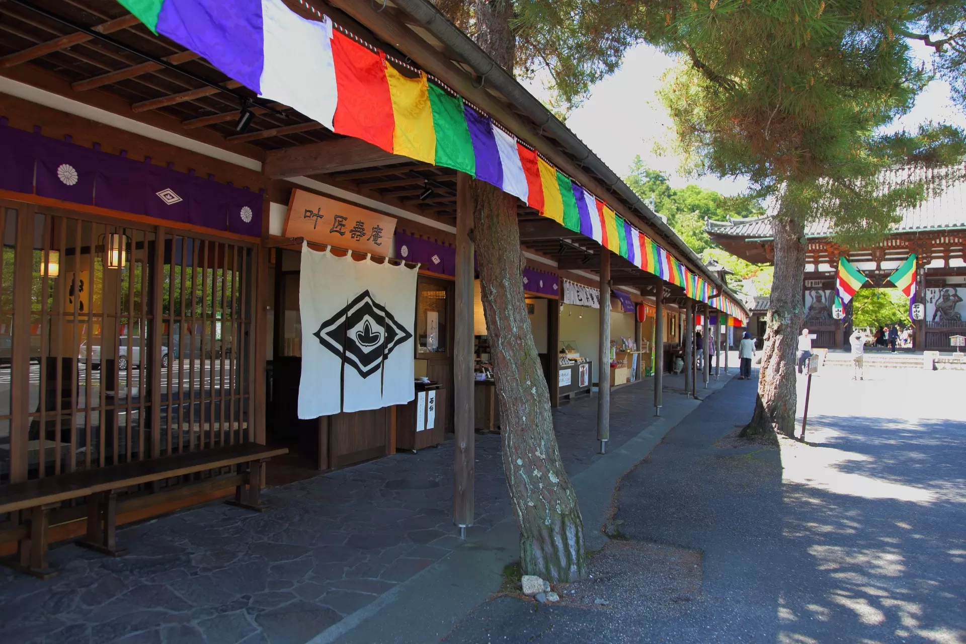 【TV放送のお知らせ（6/6）】『村瀬先生のぶらり歴史歩き』で石山寺店が紹介されます