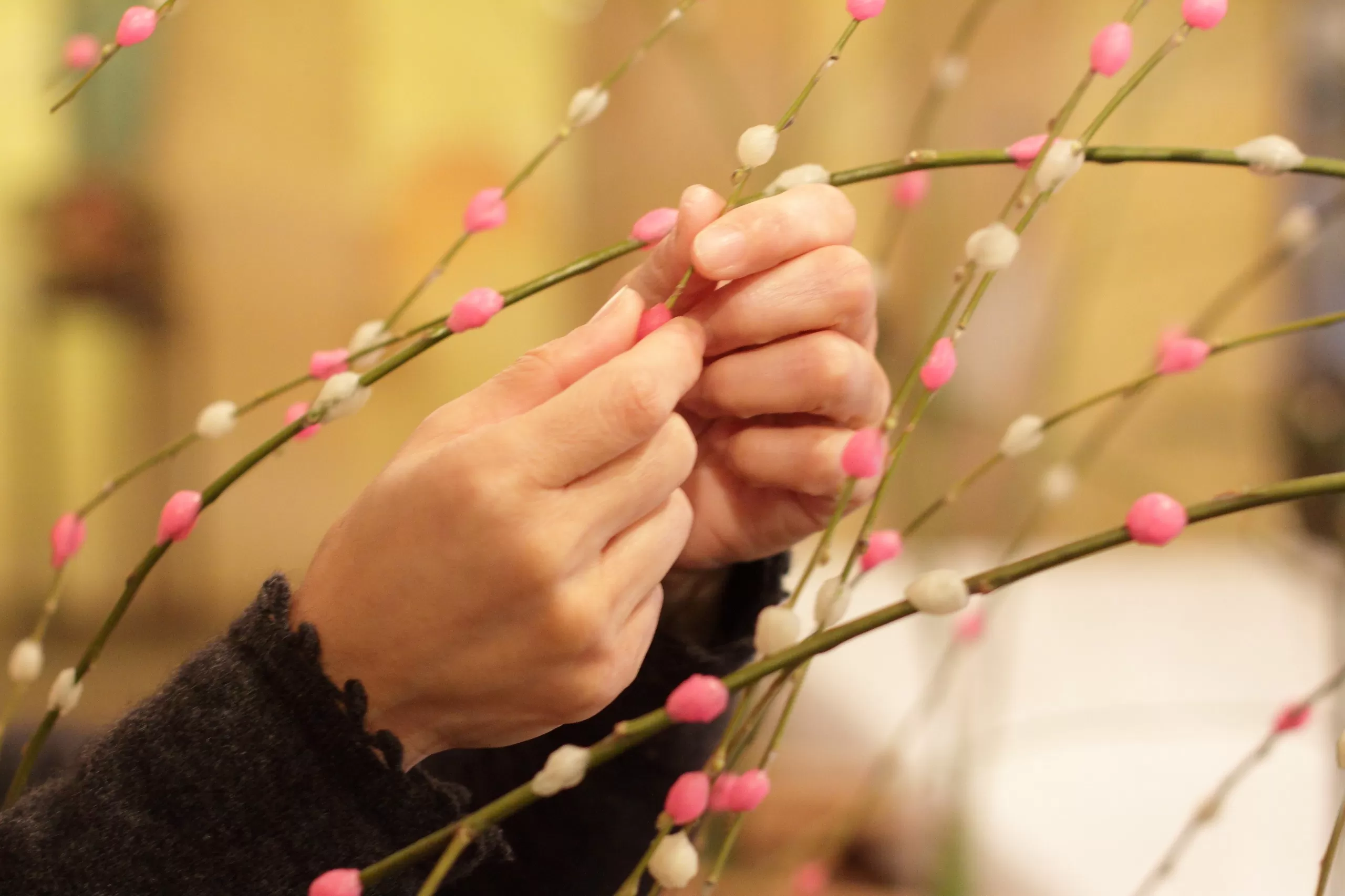 寿長生の郷で五穀豊穣を祝う正月飾り「餅花づくりキット」を発売
