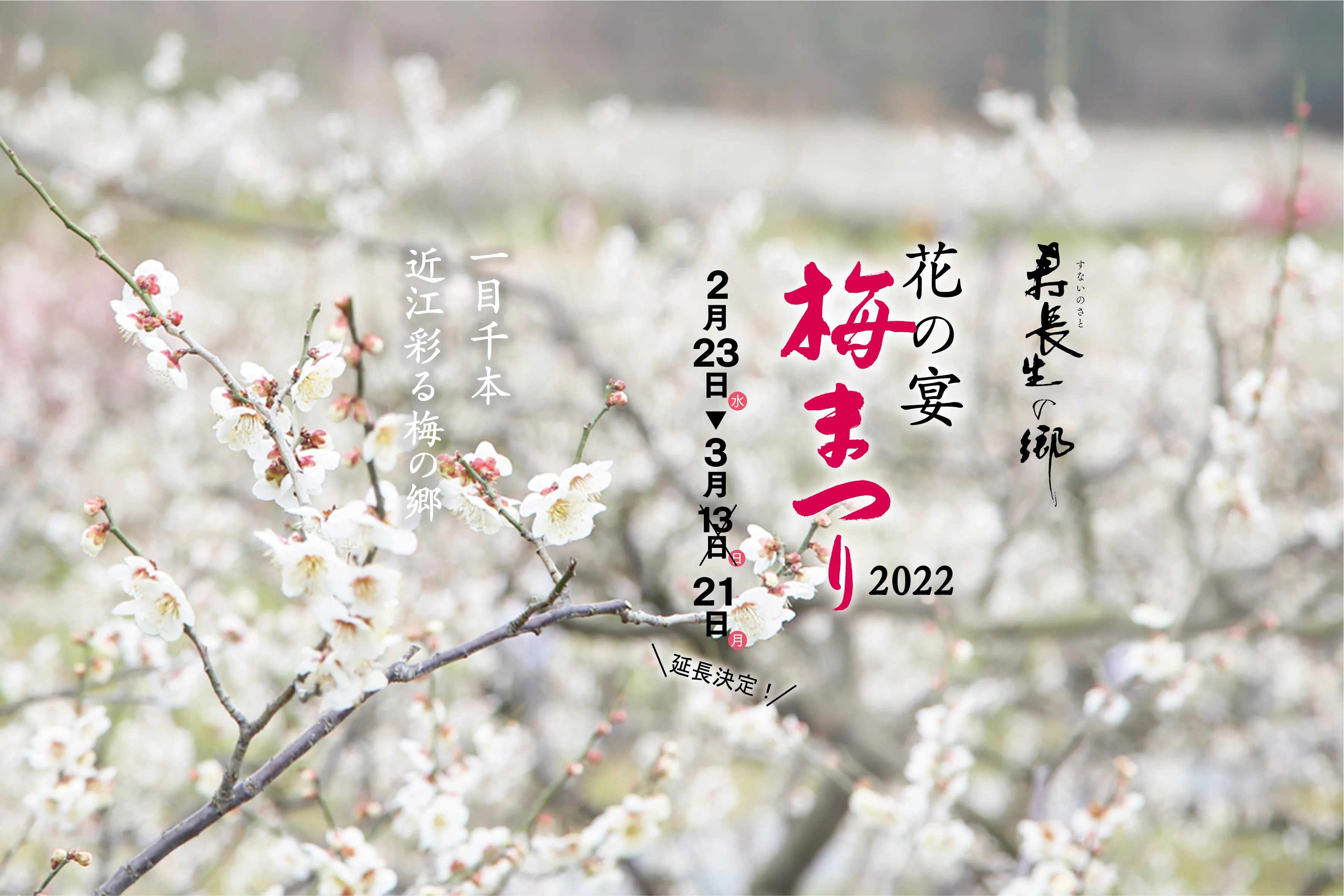 【花の宴　梅まつり2022】期間延長のお知らせ