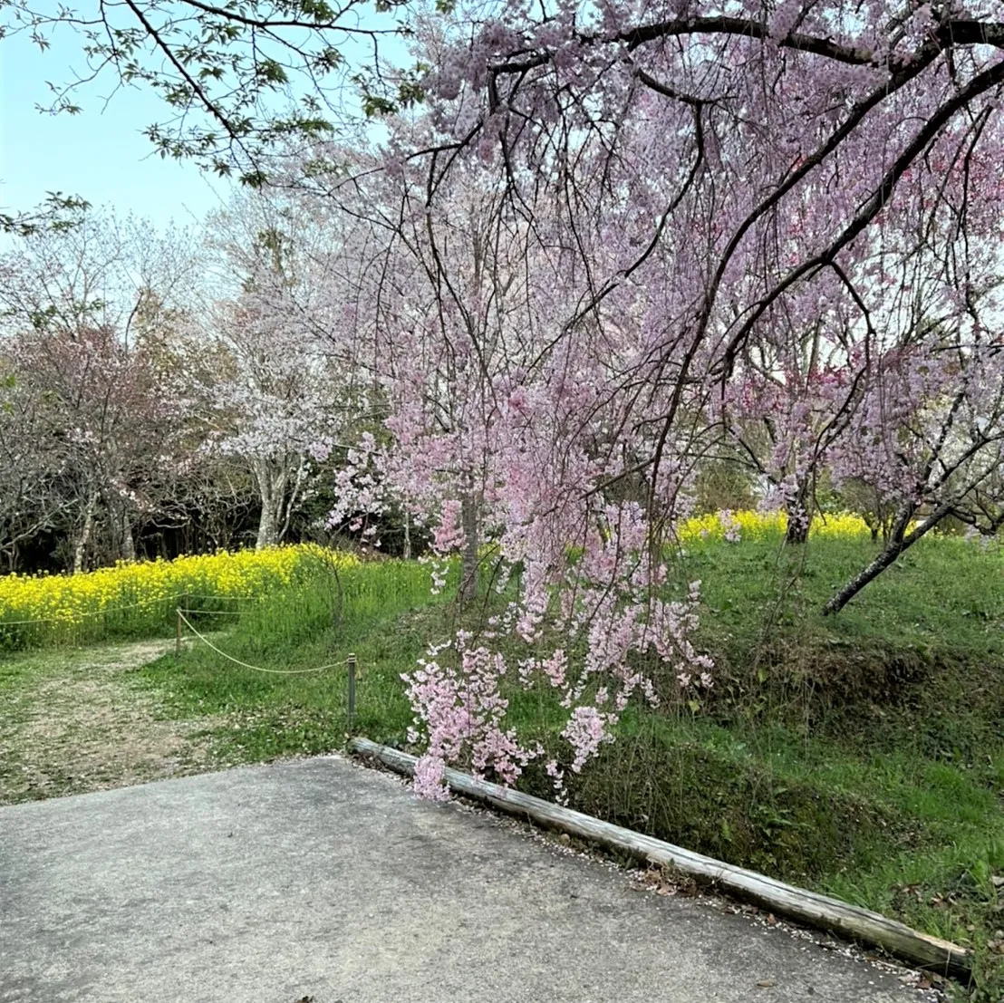 春景色