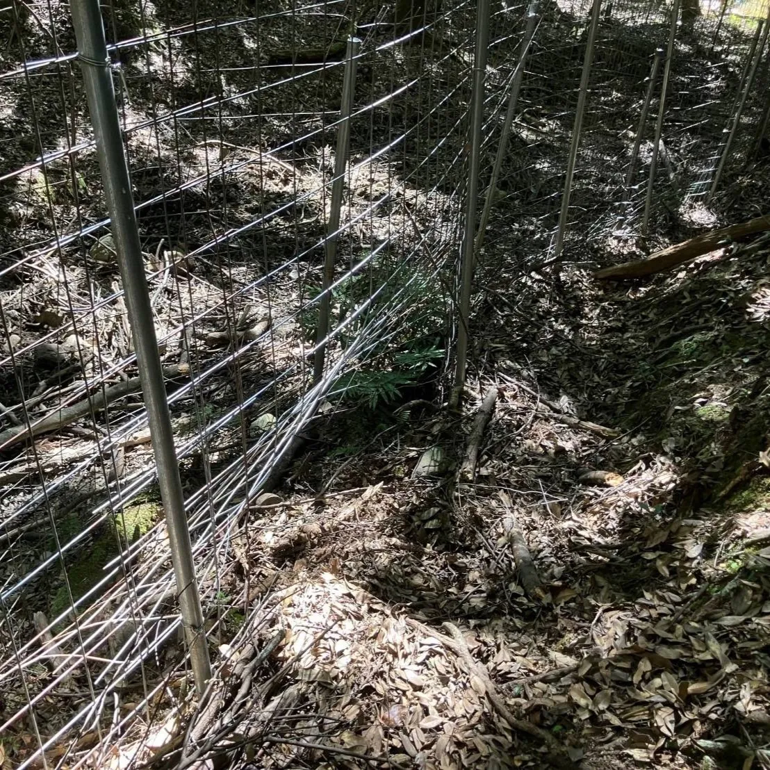 防鹿柵 その2
