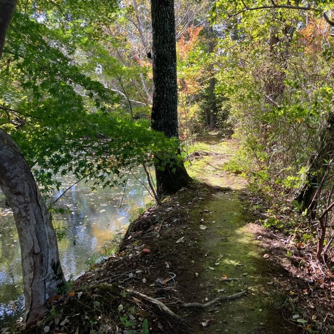 お気に入りの道