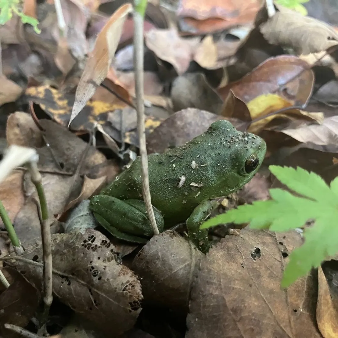 起こしちゃった