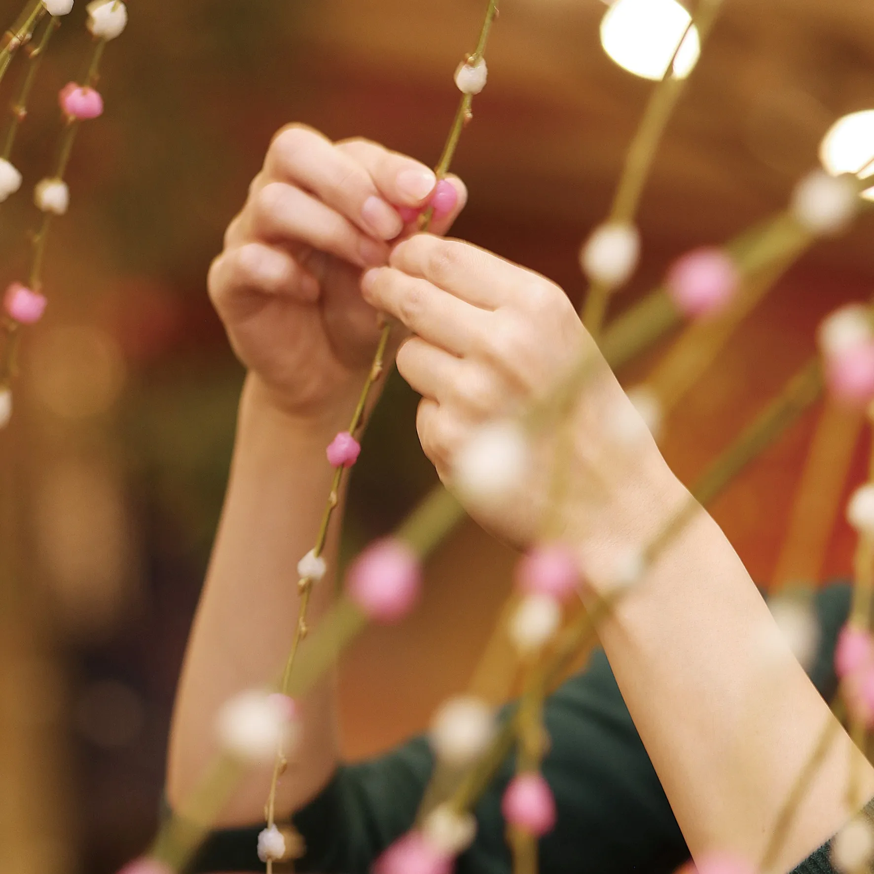 日本の伝統的な正月飾り「餅花」を手づくりできる体験イベント 12月6日(土)より寿長生の郷で開催