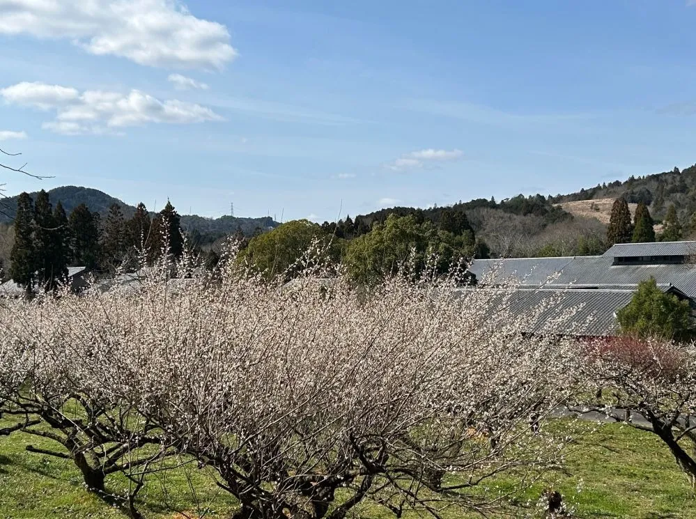【寿長生の郷】3/11（水）貸切イベントにともなうご案内