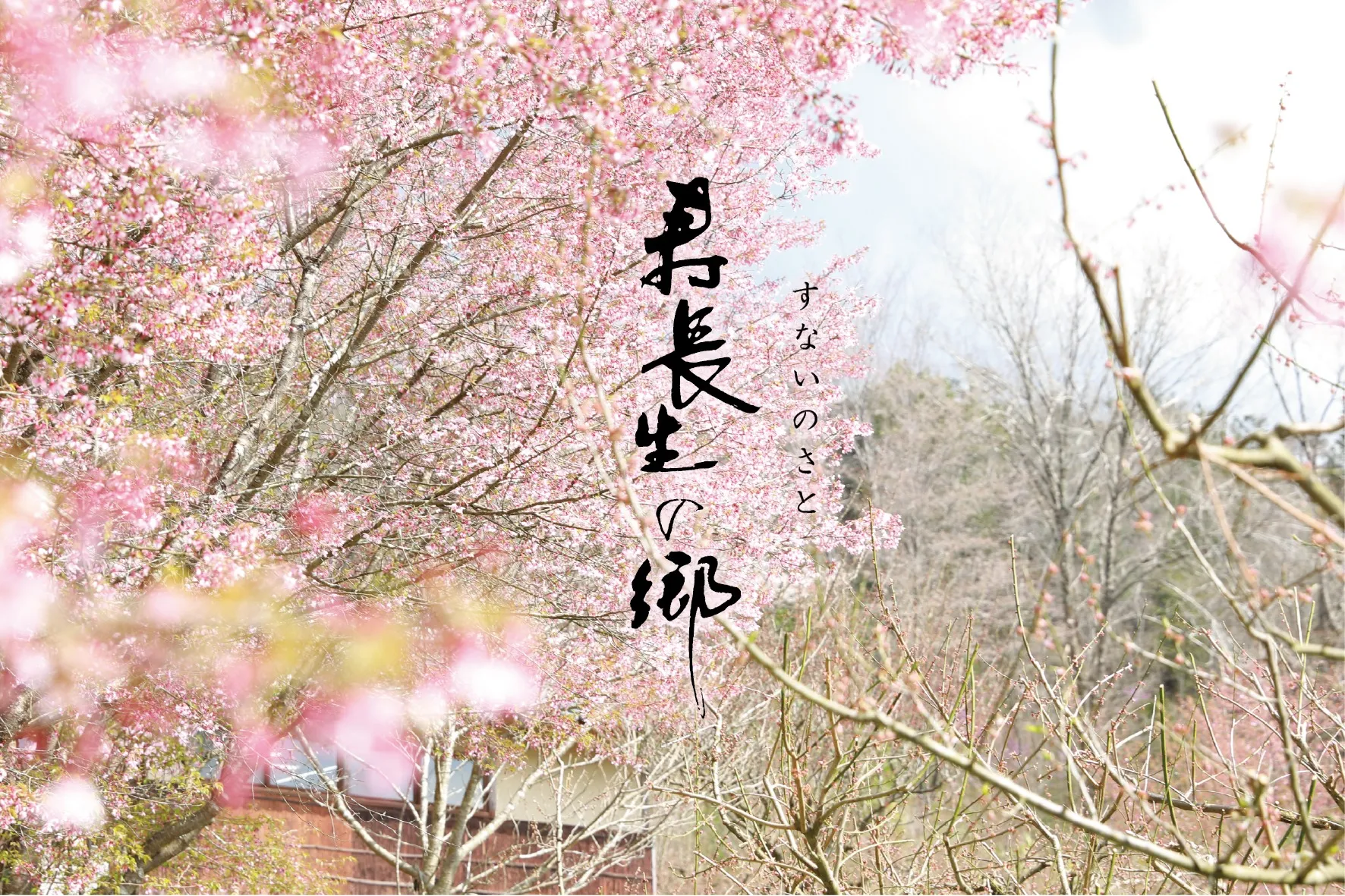 株式会社叶匠寿庵